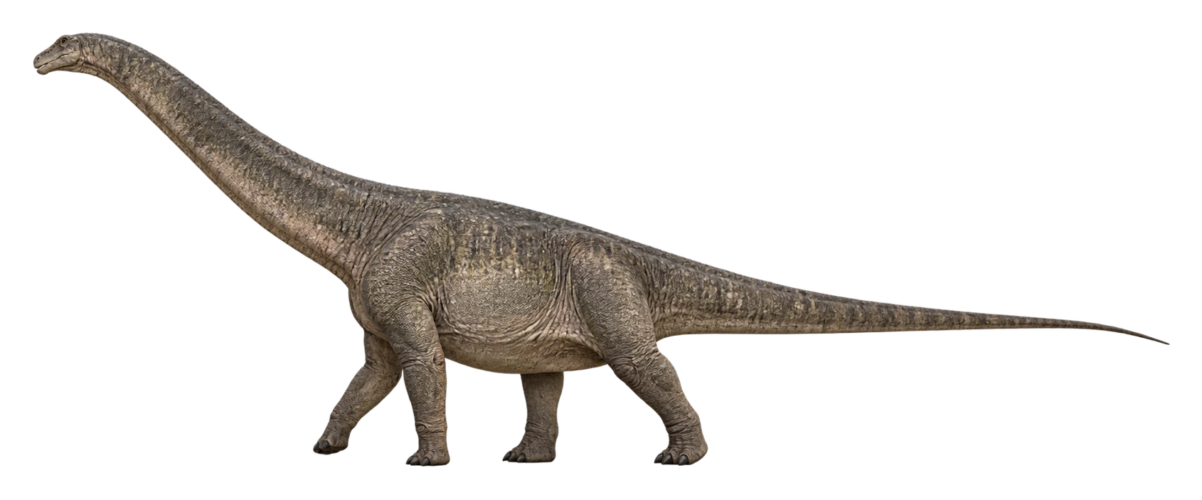 AI-generated reconstruction of Argentinosaurus