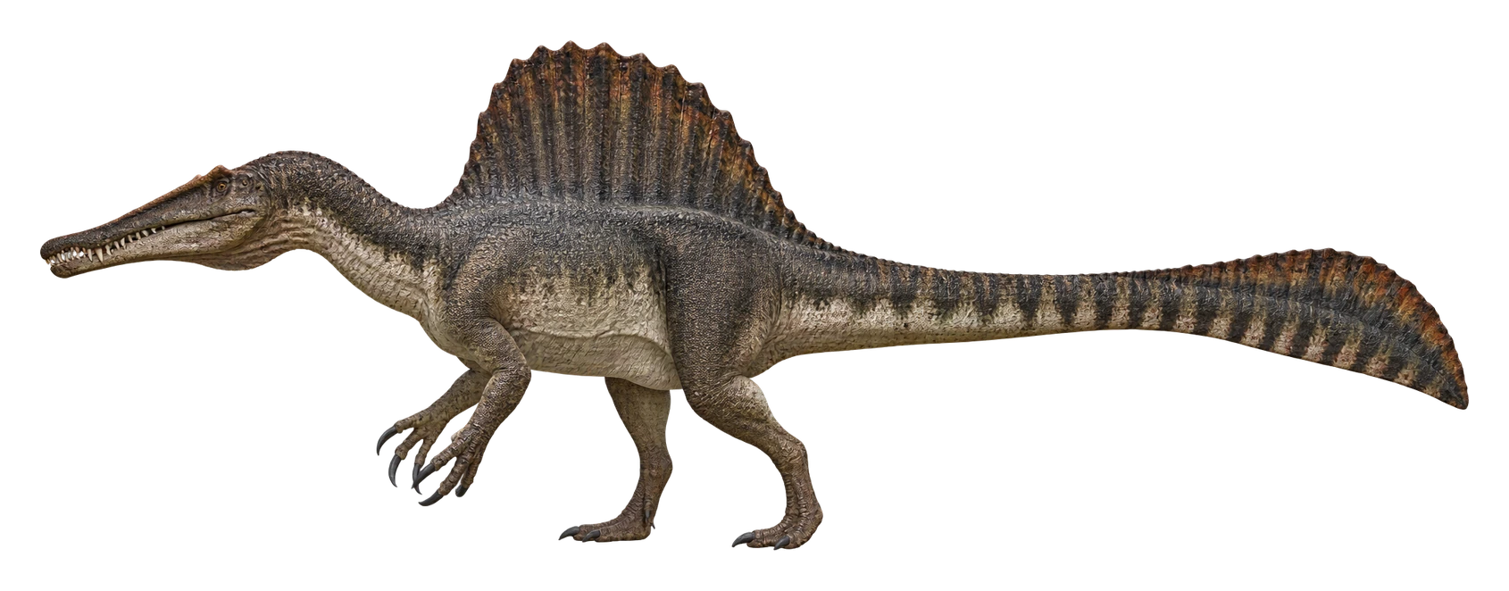 AI-generated reconstruction of Spinosaurus